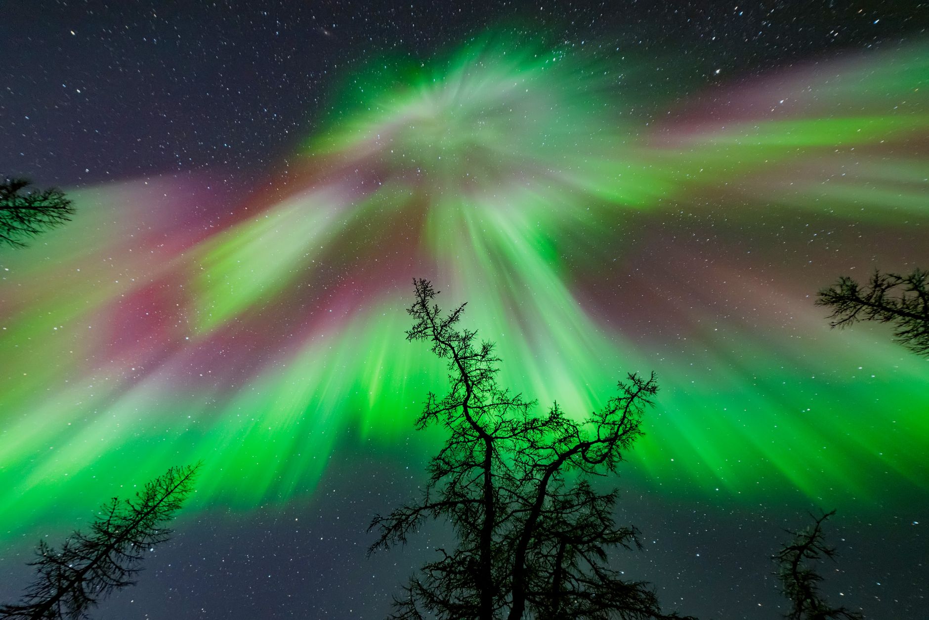 L'aurora boreale: cosa crea quelle luci nel cielo del Nord